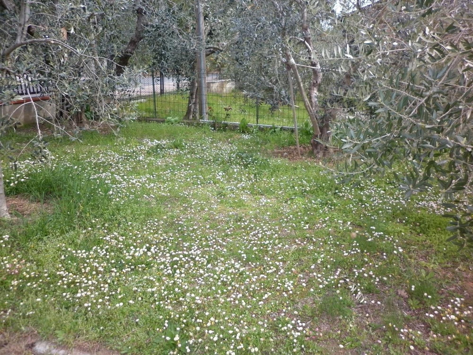 Casa Gli Ulivi Villa Montepulciano Stazione Екстериор снимка
